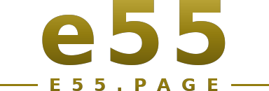 e55 logo